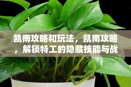 凯南攻略和玩法，凯南攻略，解锁特工的隐藏技能与战术