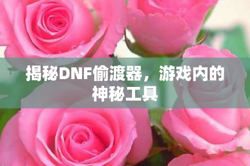 揭秘DNF偷渡器图片