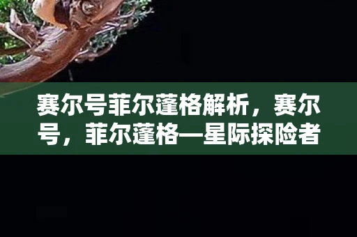 赛尔号菲尔蓬格解析，赛尔号，菲尔蓬格—星际探险者的传奇篇章