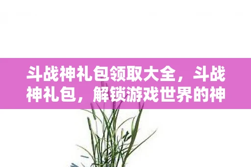 斗战神礼包领取大全,斗战神礼包,解锁游戏世界的神秘钥匙 斗战神礼包领取大全,斗战神礼包,解锁游戏世界的神秘钥匙