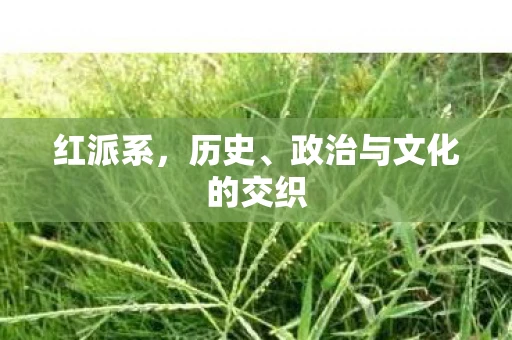 红派系,历史、政治与文化的交织 红派系,历史、政治与文化的交织
