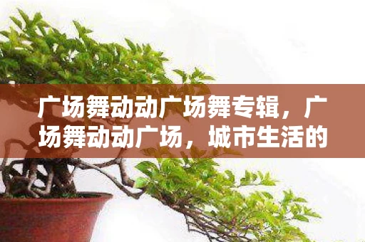 广场舞动动广场舞专辑，广场舞动动广场，城市生活的活力源泉