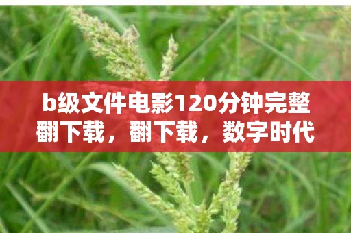 b级文件电影120分钟完整翻下载，翻下载，数字时代的阅读革命