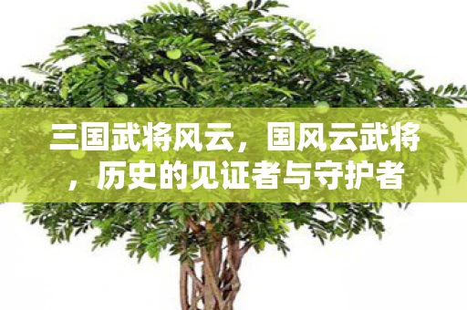 三国武将风云，国风云武将，历史的见证者与守护者