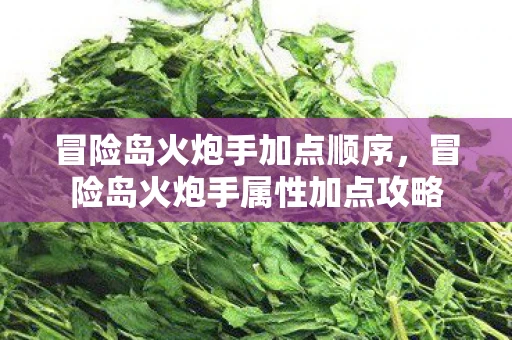 冒险岛火炮手加点顺序，冒险岛火炮手属性加点攻略