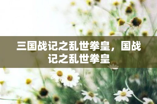 三国战记之乱世拳皇，国战记之乱世拳皇