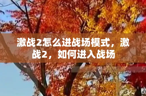 激战2怎么进战场模式,激战2,如何进入战场 激战2怎么进战场模式,激战2,如何进入战场