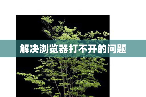 解决浏览器打不开的问题图片