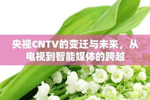 央视CNTV的变迁与未来,从电视到智能媒体的跨越 央视CNTV的变迁与未来,从电视到智能媒体的跨越