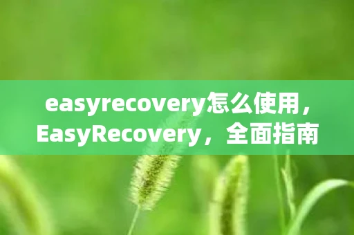 easyrecovery怎么使用，EasyRecovery，全面指南与实用技巧