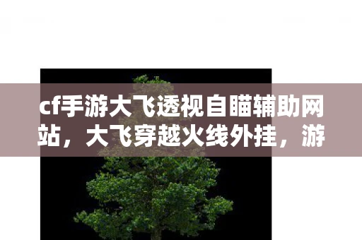 cf手游大飞透视自瞄辅助网站，大飞穿越火线外挂，游戏作弊的警示与反思
