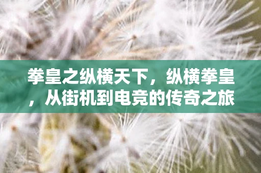 拳皇之纵横天下,纵横拳皇,从街机到电竞的传奇之旅 拳皇之纵横天下,纵横拳皇,从街机到电竞的传奇之旅