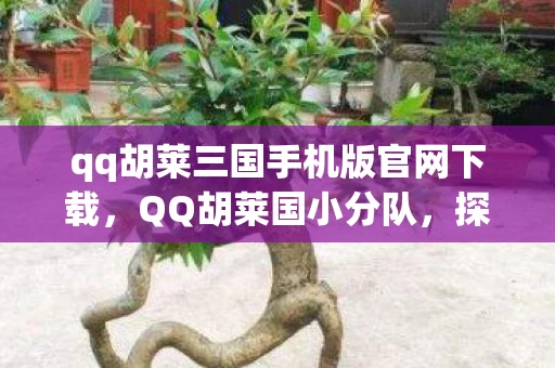 qq胡莱三国手机版官网下载，QQ胡莱国小分队，探索虚拟世界的奇妙之旅