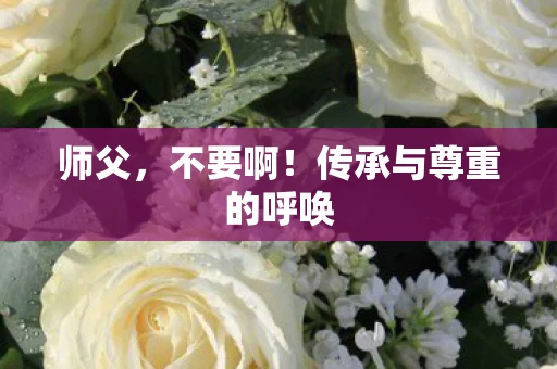 师父，不要啊！传承与尊重的呼唤
