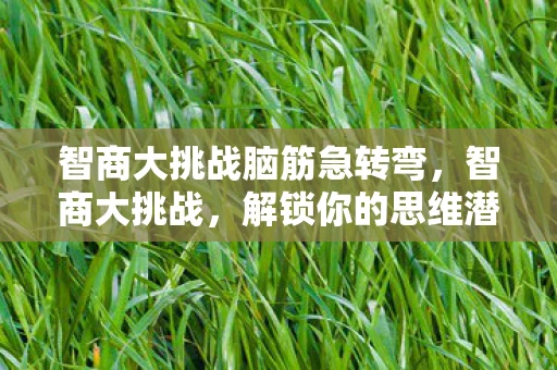 智商大挑战脑筋急转弯，智商大挑战，解锁你的思维潜能