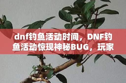dnf钓鱼活动时间,DNF钓鱼活动惊现神秘BUG,玩家纷纷吐槽! dnf钓鱼活动时间,DNF钓鱼活动惊现神秘BUG,玩家纷纷吐槽!