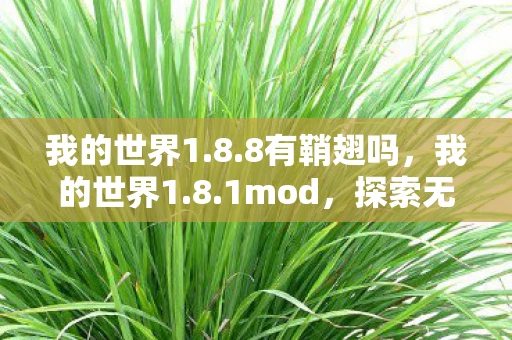 我的世界1.8.8有鞘翅吗,我的世界1.8.1mod,探索无限可能的经典版本 我的世界1.8.8有鞘翅吗,我的世界1.8.1mod,探索无限可能的经典版本