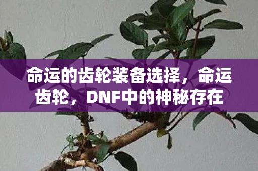 命运的齿轮装备选择，命运齿轮，DNF中的神秘存在