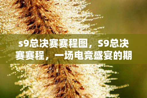 s9总决赛赛程图，S9总决赛赛程，一场电竞盛宴的期待与回顾