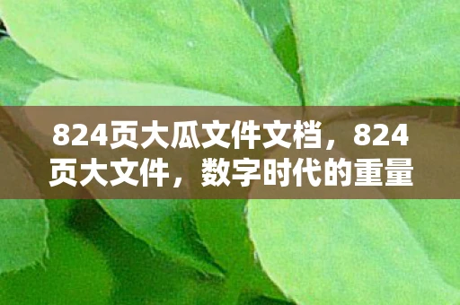 824页大瓜文件文档,824页大文件,数字时代的重量级挑战 824页大瓜文件文档,824页大文件,数字时代的重量级挑战