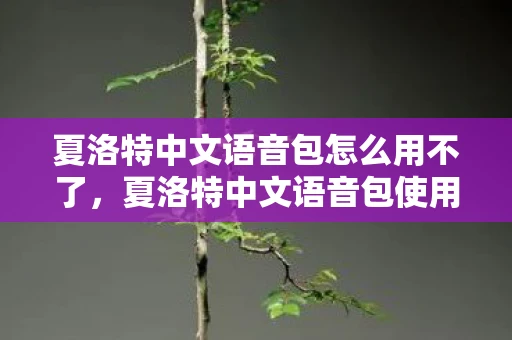 夏洛特中文语音包怎么用不了，夏洛特中文语音包使用指南，轻松掌握，让游戏更有趣