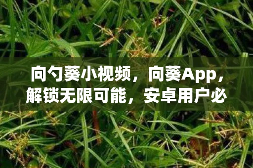 向勺葵小视频，向葵App，解锁无限可能，安卓用户必备