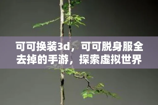 可可换装3d，可可脱身服全去掉的手游，探索虚拟世界的无限可能
