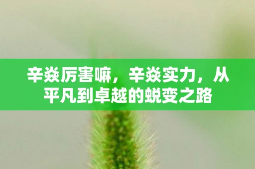 辛焱厉害嘛,辛焱实力,从平凡到卓越的蜕变之路 辛焱厉害嘛,辛焱实力,从平凡到卓越的蜕变之路
