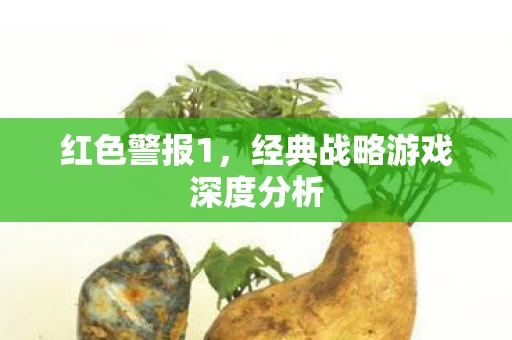 经典战略游戏深度分析图片