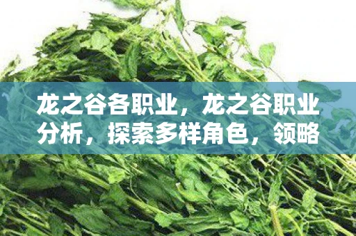 龙之谷各职业，龙之谷职业分析，探索多样角色，领略独特魅力