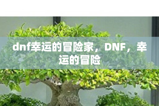 dnf幸运的冒险家，DNF，幸运的冒险