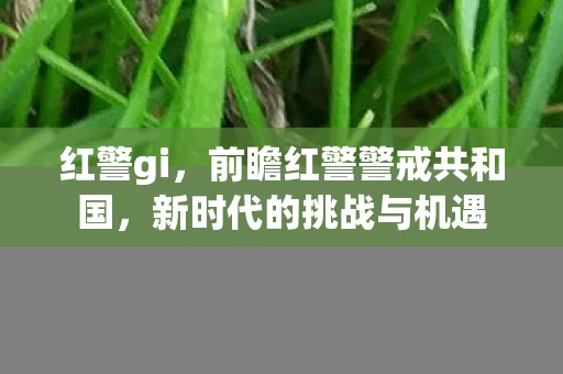红警gi，前瞻红警警戒共和国，新时代的挑战与机遇