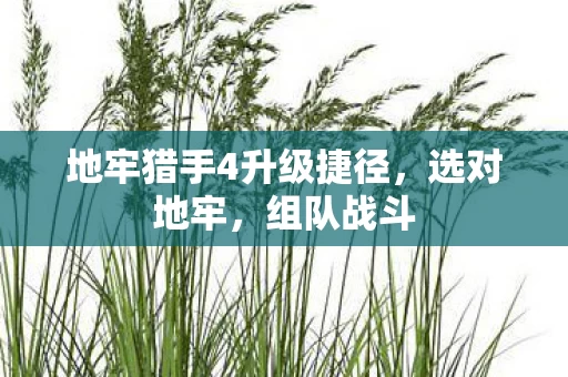地牢猎手4升级捷径图片