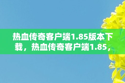 热血传奇客户端1.85版本下载,热血传奇客户端1.85,经典再现,情怀依旧 热血传奇客户端1.85版本下载,热血传奇客户端1.85,经典再现,情怀依旧