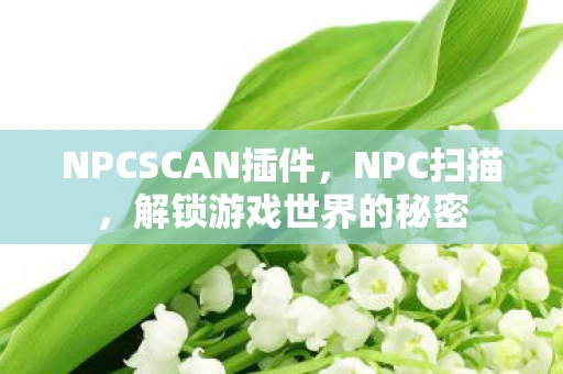 NPCSCAN插件，NPC扫描，解锁游戏世界的秘密