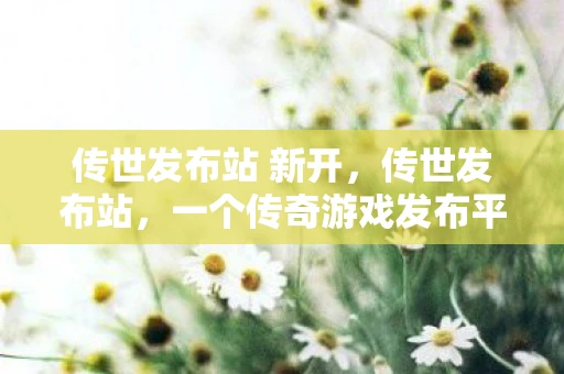 传世发布站 新开，传世发布站，一个传奇游戏发布平台的深度剖析