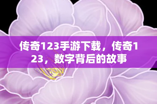 传奇123手游下载，传奇123，数字背后的故事