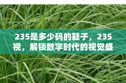 235是多少码的鞋子，235视，解锁数字时代的视觉盛宴