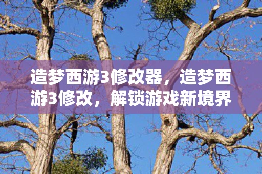 造梦西游3修改器，造梦西游3修改，解锁游戏新境界的秘籍