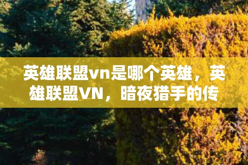 英雄联盟vn是哪个英雄,英雄联盟VN,暗夜猎手的传奇之路 英雄联盟vn是哪个英雄,英雄联盟VN,暗夜猎手的传奇之路