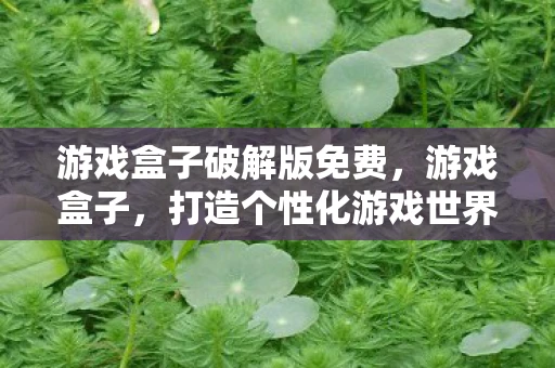 游戏盒子破解版免费，游戏盒子，打造个性化游戏世界的神器