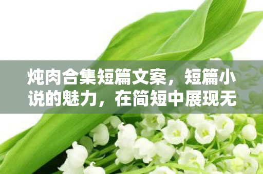 炖肉合集短篇文案,短篇小说的魅力,在简短中展现无限 炖肉合集短篇文案,短篇小说的魅力,在简短中展现无限