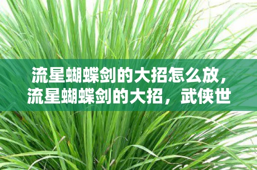 流星蝴蝶剑的大招怎么放，流星蝴蝶剑的大招，武侠世界中的极致美学