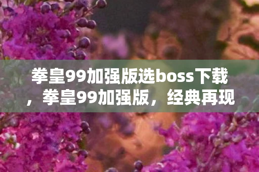 拳皇99加强版选boss下载，拳皇99加强版，经典再现，热血重燃