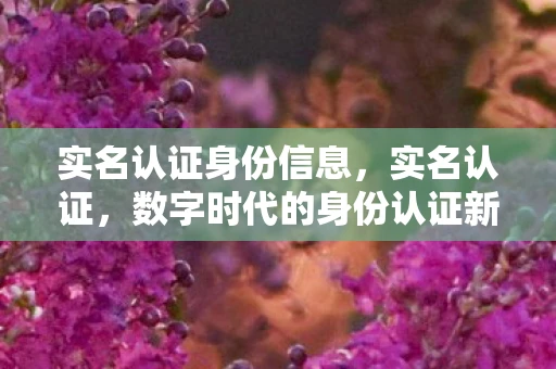 实名认证身份信息,实名认证,数字时代的身份认证新篇章 实名认证身份信息,实名认证,数字时代的身份认证新篇章