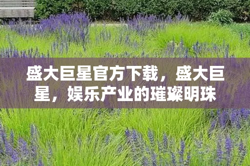 盛大巨星官方下载,盛大巨星,娱乐产业的璀璨明珠 盛大巨星官方下载,盛大巨星,娱乐产业的璀璨明珠