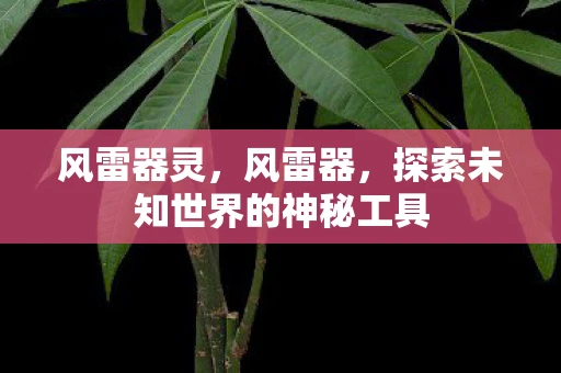 风雷器灵，风雷器，探索未知世界的神秘工具