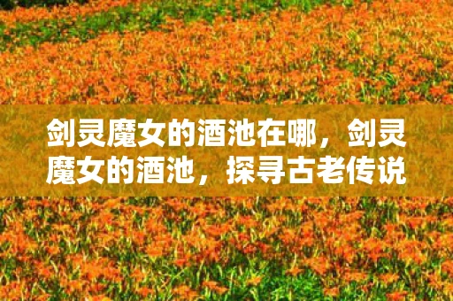 剑灵魔女的酒池在哪，剑灵魔女的酒池，探寻古老传说中的神秘之地