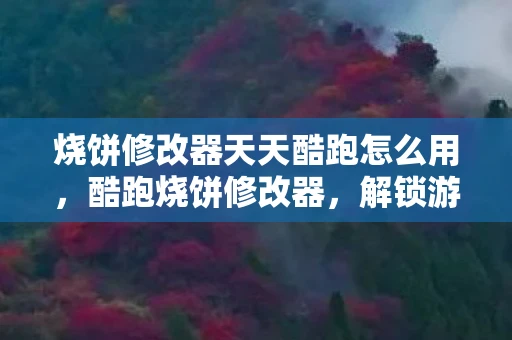 烧饼修改器天天酷跑怎么用，酷跑烧饼修改器，解锁游戏乐趣的新工具