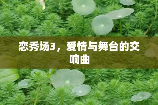 恋秀场3,爱情与舞台的交响曲 恋秀场3,爱情与舞台的交响曲